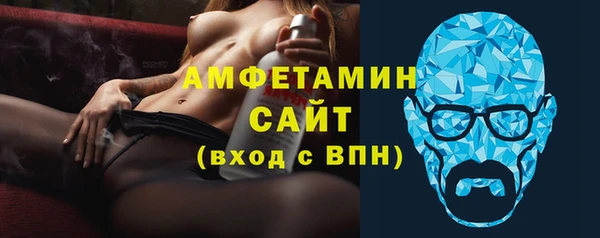 индика Новозыбков