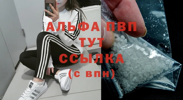 индика Новозыбков